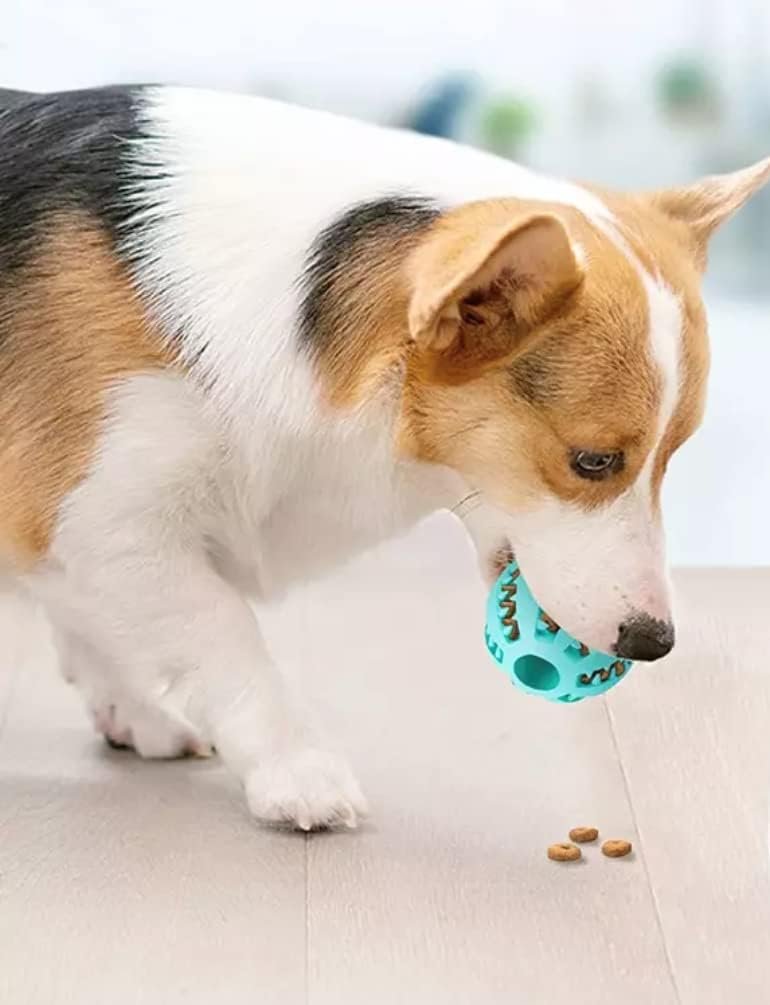 Dog Ball - Pack of 2 - Cleaning Toy for Dogs Teeth - Teeth Cleaning Ball - Interactive Toy for Pets Made of Natural Rubber - Image 2