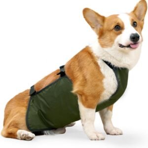 Dog Raincoat, Pet Raincoat, Waterproof Pet Clothing, Dog Rain Jacket, Abdominal Protection, Corgi Raincoat, Dog Belly Band, Breathable, Anti Dirty, Puppy Outfits, Doggy (Green, L)