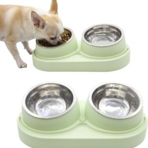 Non-Slip Tilted Double Dog & Cat Bowl with Removable Inserts, Anti-Tip Dual Food and Water Feeder for Small Dogs and Cats, Easy to Clean (Pastel Green)