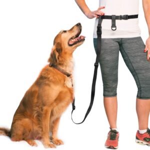The  Adjustable Hands Free Dog Leash, Hand-Free Leash for Running, Jogging, Walking, Hiking and Training Service Dogs, Versatile All Dog Sizes - Made in USA - Regular, Black
