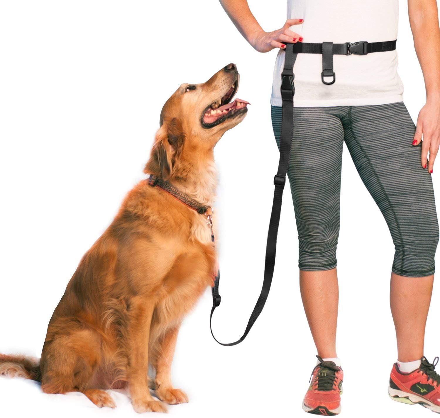 The Adjustable Hands Free Dog Leash, Hand-Free Leash for Running, Jogging, Walking, Hiking and Training Service Dogs, Versatile All Dog Sizes - Made in USA - Regular, Black