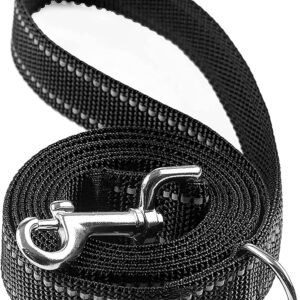 Reflective Dog Leash with D Ring for Large&Medium and Small Dogs, Padded Handle Nylon Dogs Leashes for Walking and Training (Black, 1 inch X 6 FT)