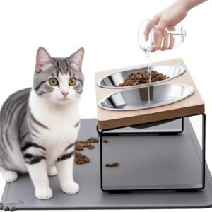 Upgraded Elevated Cat Bowls with Food Mat,15°Tilted Stand Anti Vomiting Raised Cat Dishes for Food and Water,2 Stainless Steel Bowls for Cats and Puppy