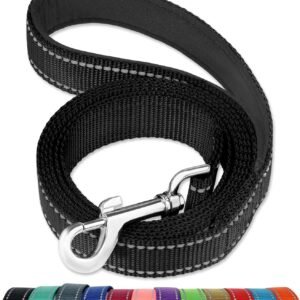 6FT Reflective Dog Leash with Soft Padded Handle for Training,Walking Lead for Medium & Small Dogs,3/4 Inch Wide,Black