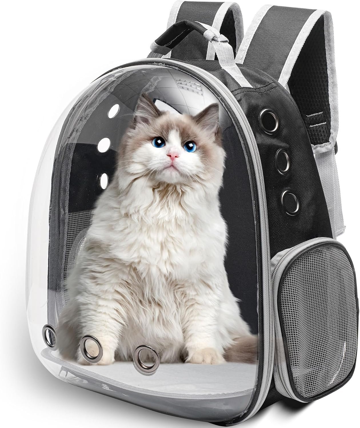 Large Cat Backpack Carrier for Travel and Hiking Transparent Pet Bubble Backpack for Cats up to 20lbs with Ventilation and Padded Straps Mochila para Gatos transportadora mascotas (Black)