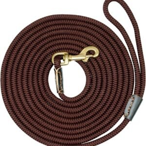 Pet Traction Rope Durable Dog Tracking Leash Nylon Long Leads Rope Pet Training Walking Leashes 3m 5m 10m 20m for Medium Large Dogs Non-Slip Dog Leash (Size : 10m) (B 3m)