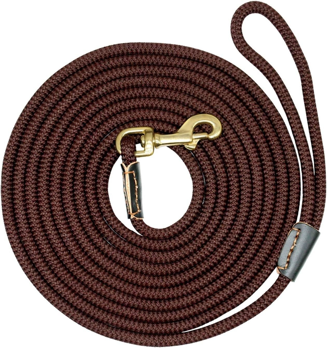 Pet Traction Rope Durable Dog Tracking Leash Nylon Long Leads Rope Pet Training Walking Leashes 3m 5m 10m 20m for Medium Large Dogs Non-Slip Dog Leash (Size : 10m) (B 3m)